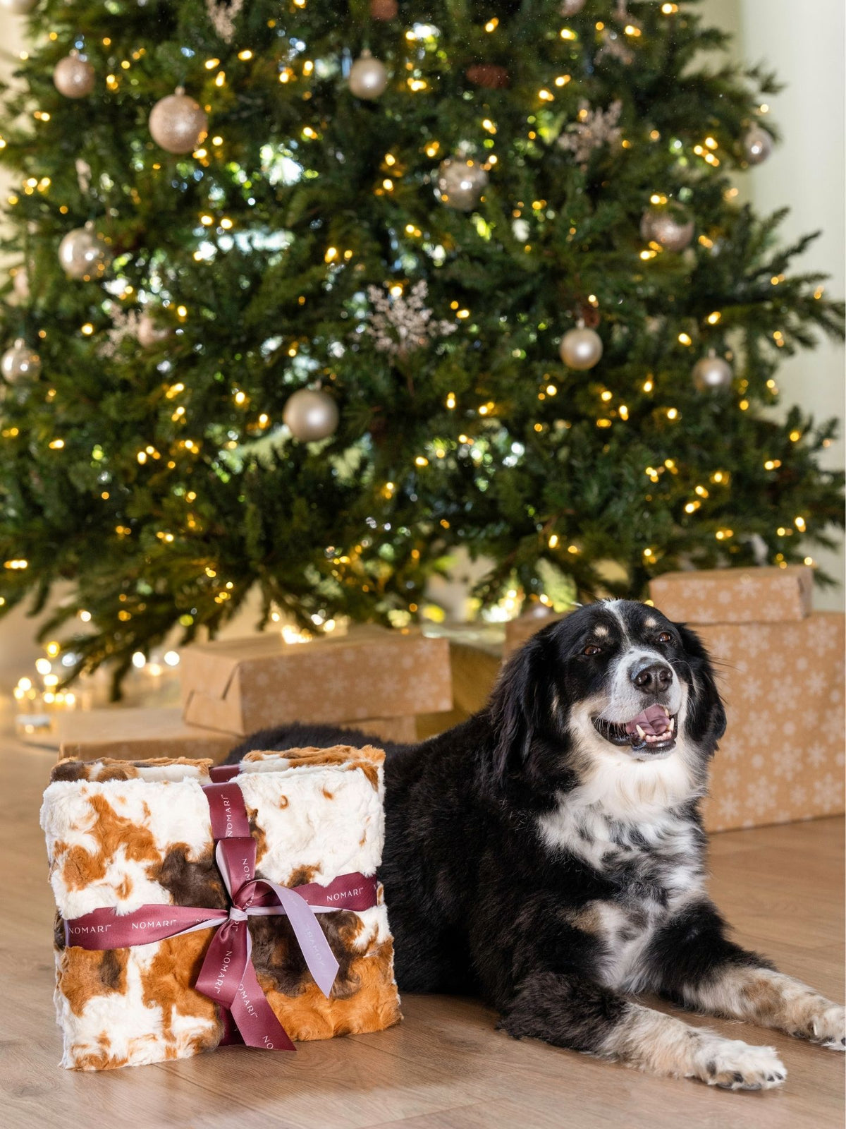 The Furever Blanket (30" x 40")